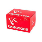 Canadian Goose